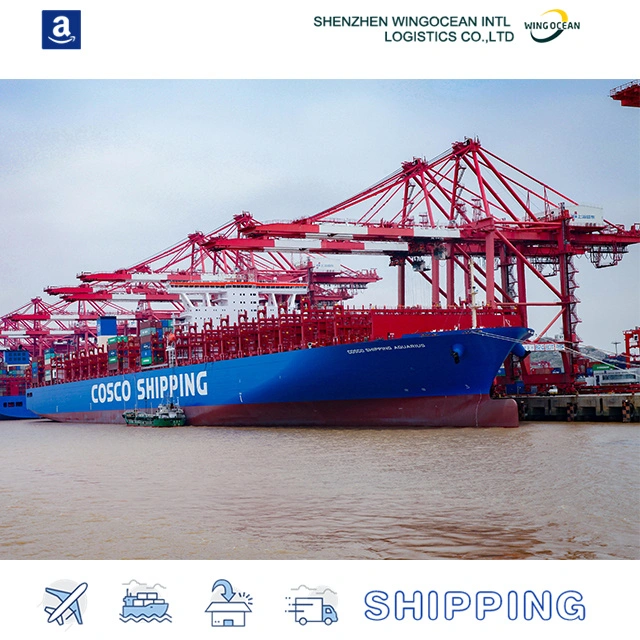 Fba DDP Shipping Serive From China to USA by Wingocean Logistics