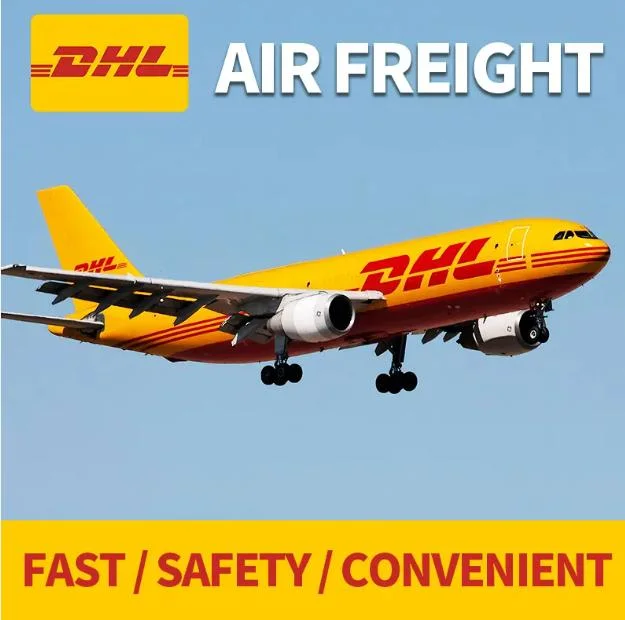 الصين إلى البرازيل UPS FedEx DHL TNT Express الشحن خدمة الوكيل