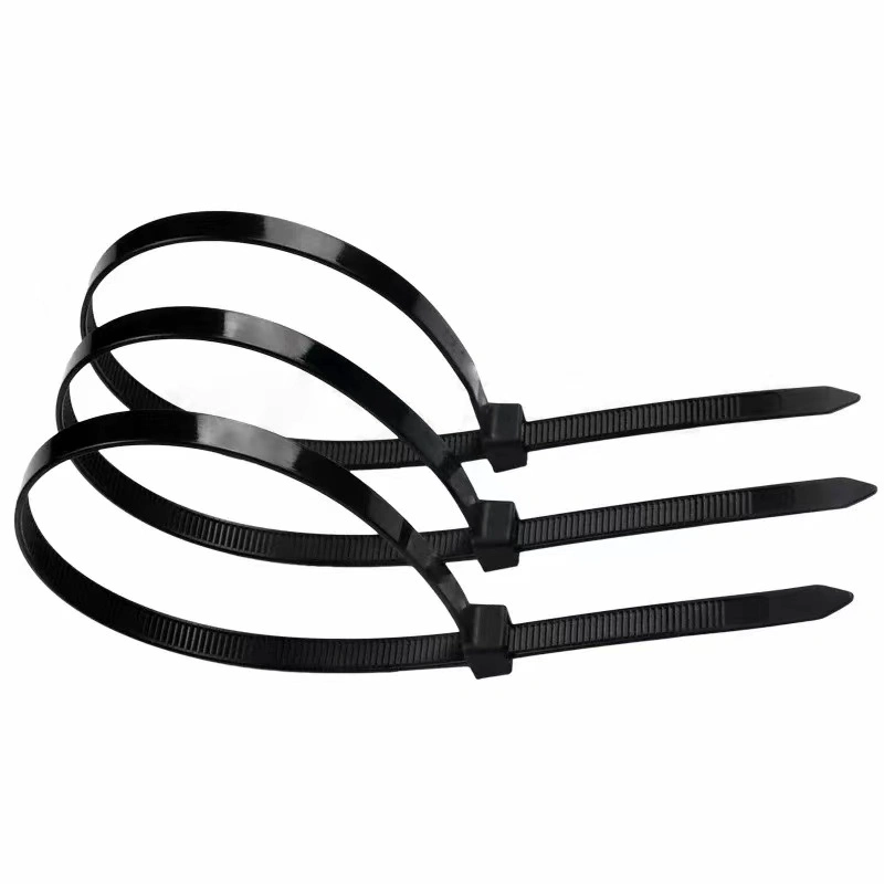 Professional Nylon66 Cable Zip Ties and Other Wiring Accessories Manufacturer