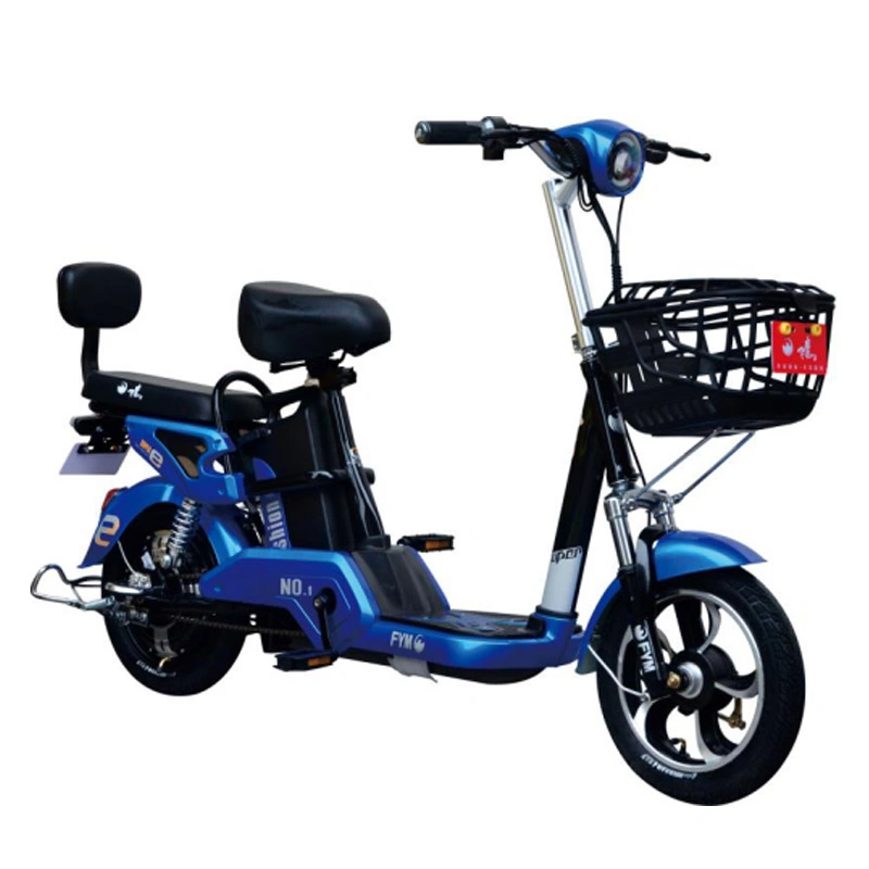 High quality/High cost performance  Small Tire Snow Bike Electric Bikes with Ce