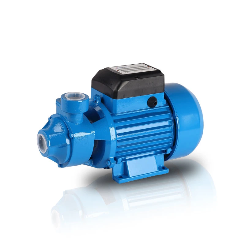 Professional Pump Manufacturer 0.5HP Qb60 High Pressure Pump Peripheral Pump for Family Use