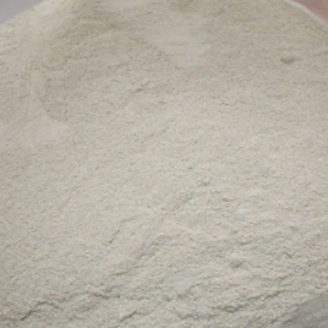 Ferrous Sulphate Monohydrate/Ferrous Sulphate Heptahydrate with Best Price