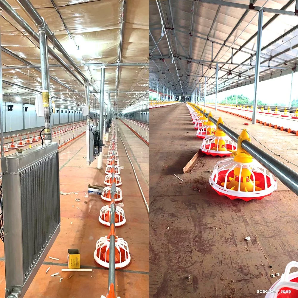 Automatic Control Poultry Farm Equipment with Cage/Fan/Pan/Tower/Nipple/Water Channel Tank