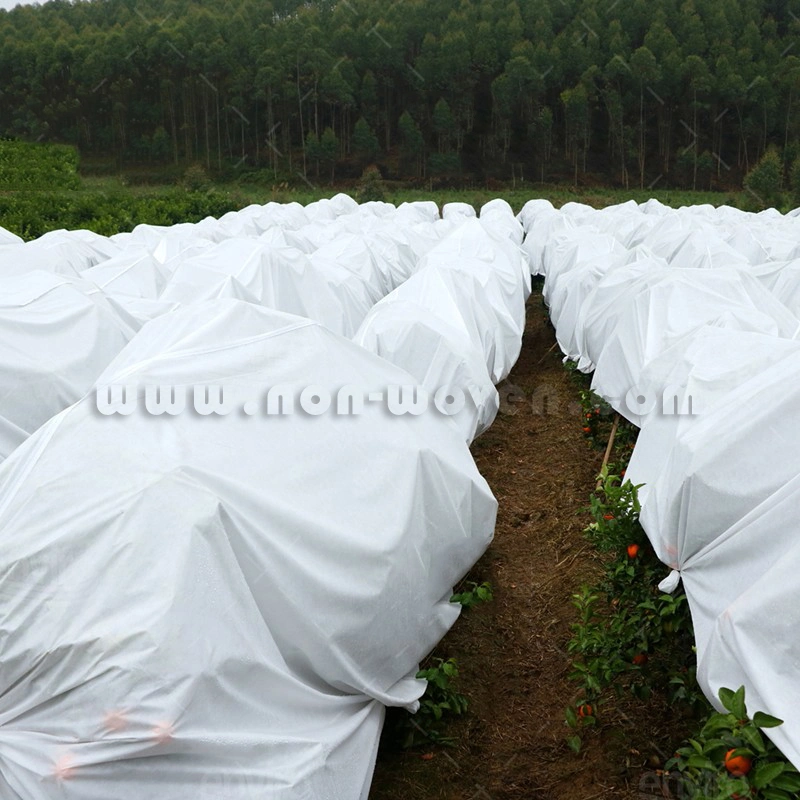 PP Non Woven Fabric Manufacturer for Agriculture