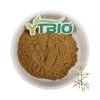 Mejor Precio Extracto de Herb Motherwort polvo Extracto de Herb Motherwort Natural