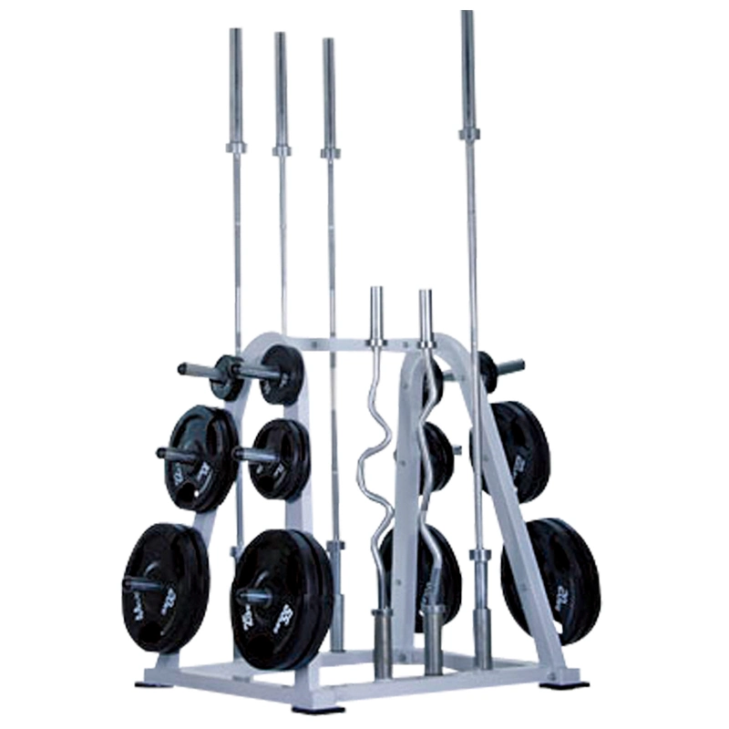 Hot Sale Dumbbell Weight Plate Rack for Rugular Diameter