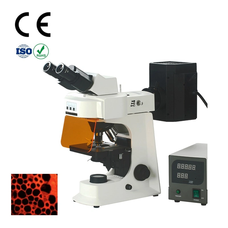 Smart-FL2 Binocular Biologic Digital Electronical Fluorescence Microscope for Lab