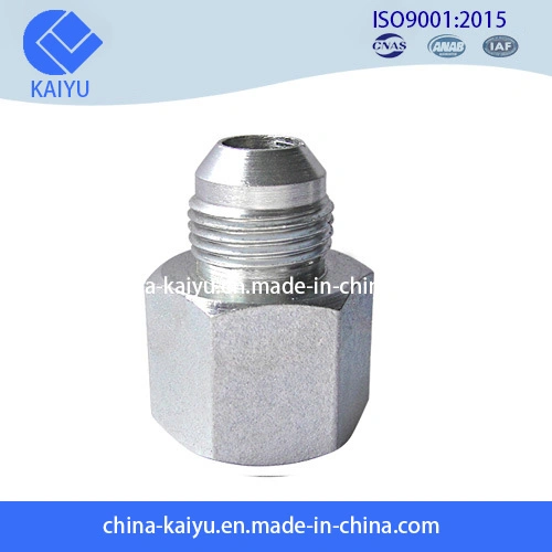 Custom and Non-Standard Stainless Steel Pipe Hydraulic Fittings