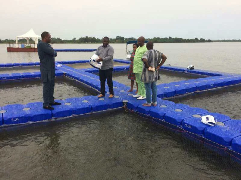 New Style Schwimmende Zucht Fisch Landwirtschaft Käfig Ohne Handläufe