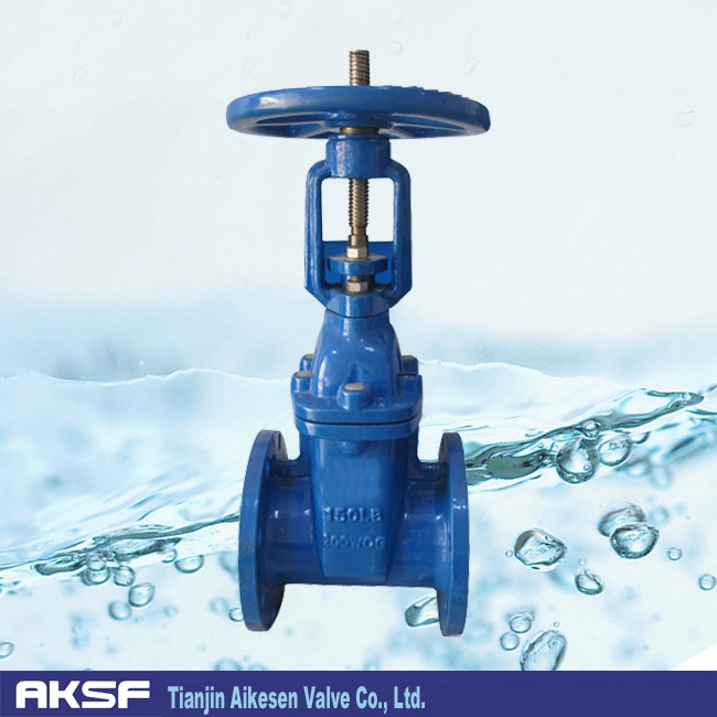 Stailess Steel Flange Type Outside Yoke Gate Valve