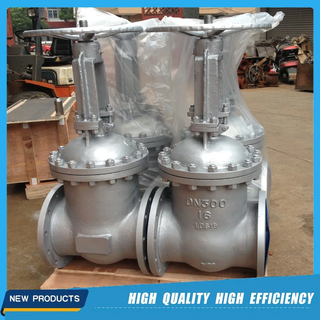 DIN Cast Steel Wedge Gate Valve (PN16 DN50)