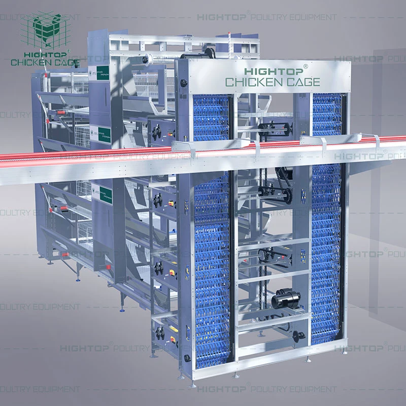 Hightop H Typ vollautomatische Batterie Egg Layer Hühnerkäfig System Mit Kompletter Automatischer Beatmungssteuerung