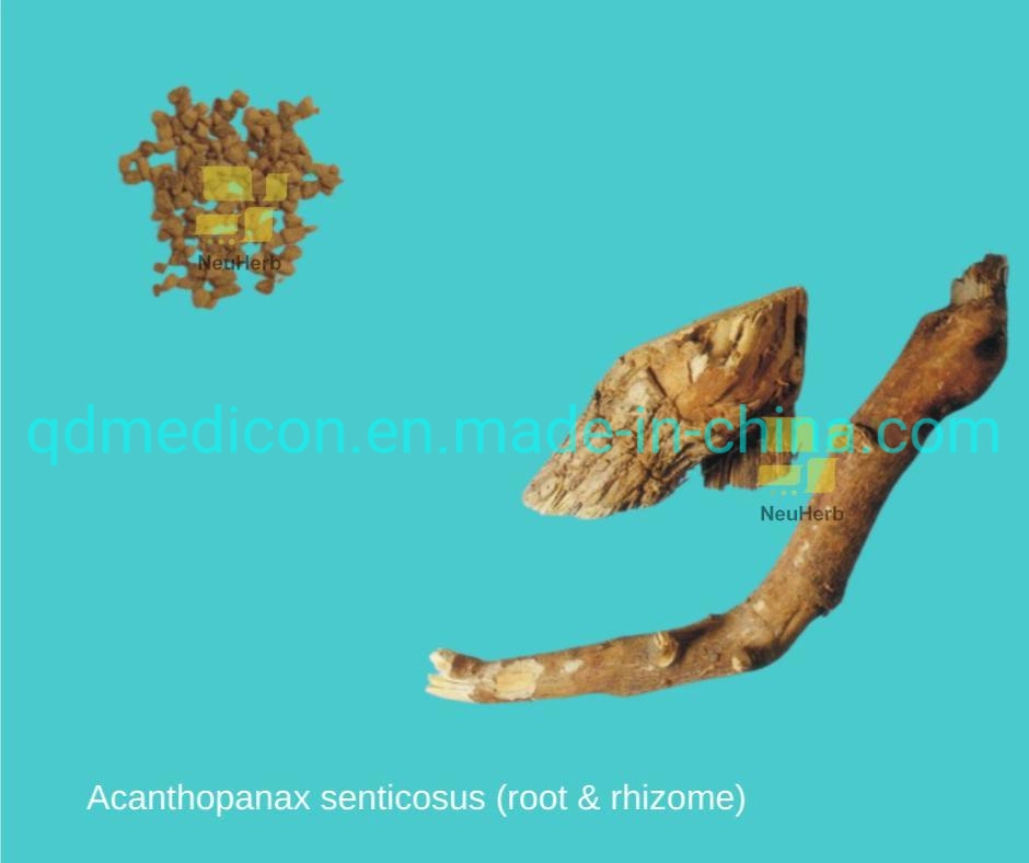 Radix Acanthopanacis Senticosi концентрированная гранула традиционная китайская травяная медицина улучшение Энергии