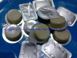 Dpp250 Big Pills Packing Machine Blister Packing Machine Pharmaceutical Equipment