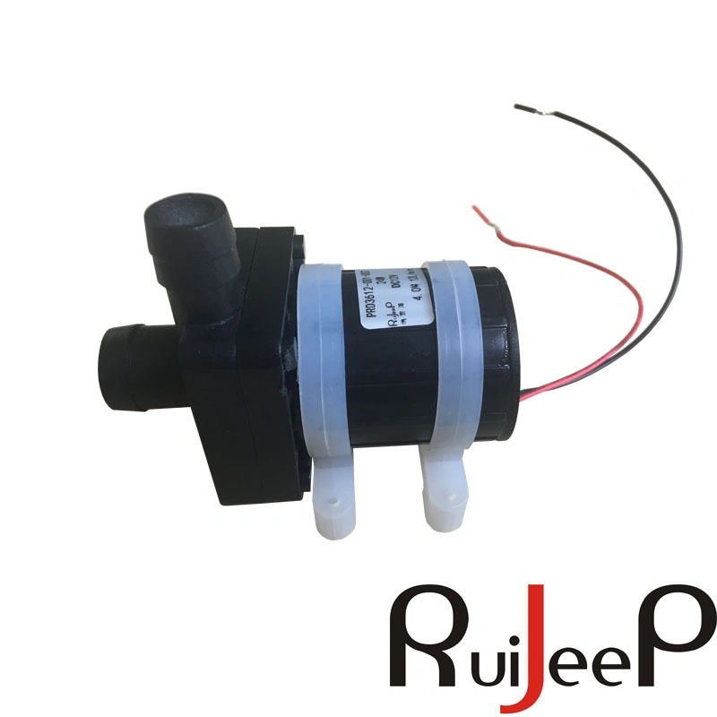 Ruijeep 24W Input Power 0.05A Rated Current 3000r/Min Rpm Water Heater Parts