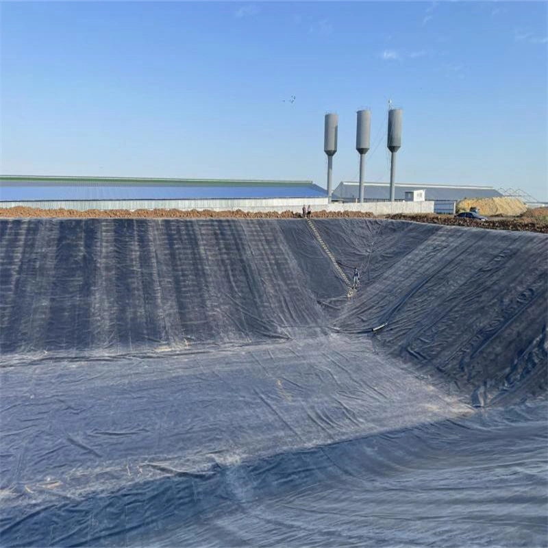 300microns Water Tank Pool Liner Geomembrane HDPE for Lebanon