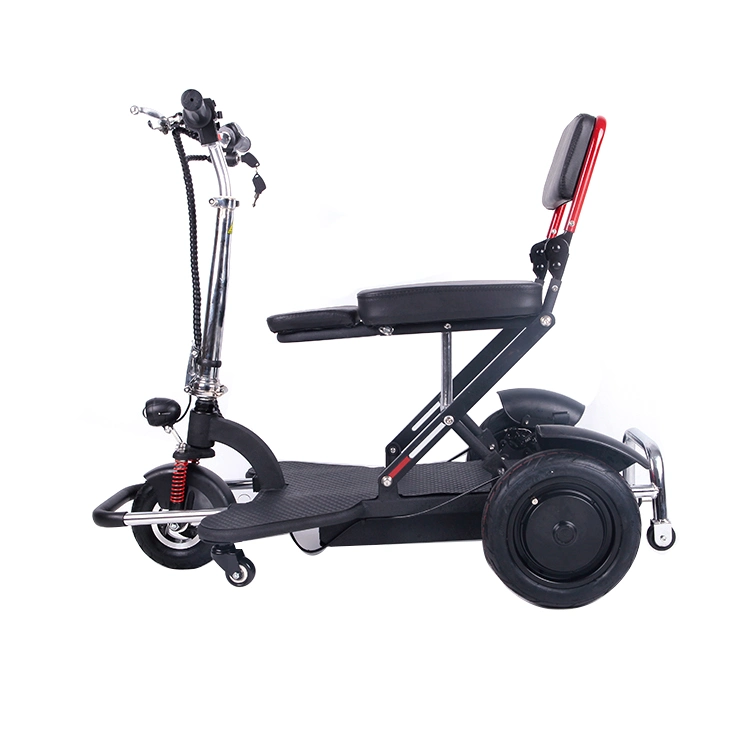 3 Wheels Electric Scooter 500W