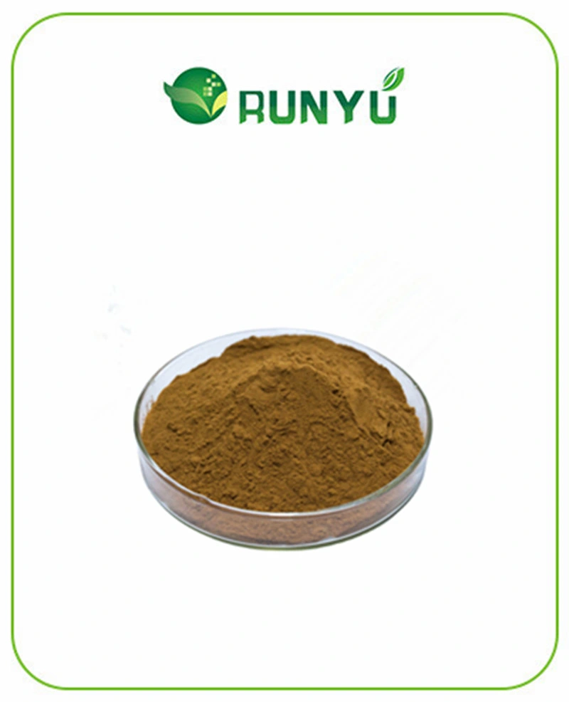 Factory Supply Best Price Natural Aesculus Chinensis Extract Powder Aescin 20% UV