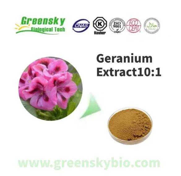 Extrato de gerânio natural 10: 1 Grau de alimentos orgânicos Pelargonium-Pimenta extrato da planta raiz extrato de plantas