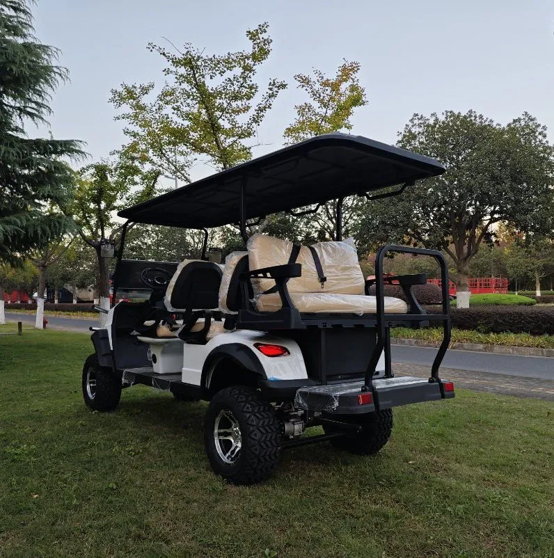 Wintao Nouveau 6 Seater électrique 4 roues Club car Golf Chariot