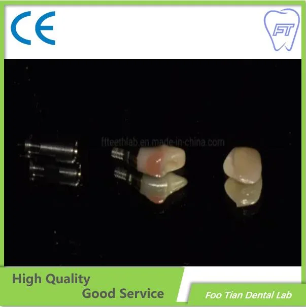 Zirconia Abutment Dental Abutment Dental Implant on Selling