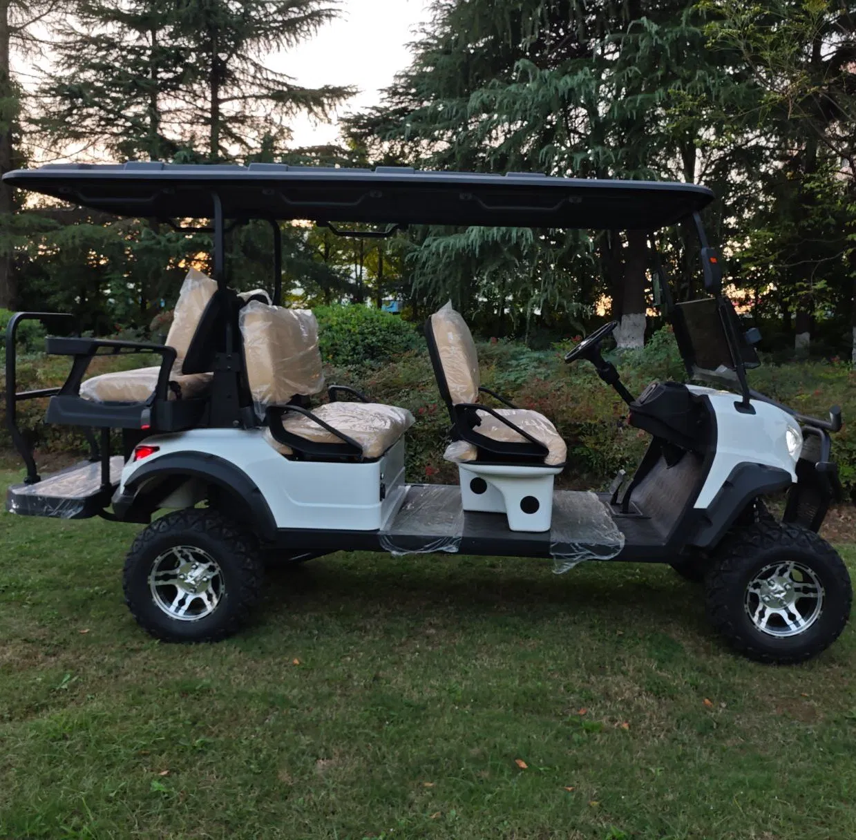 Wintao Nouveau 6 Seater électrique 4 roues Club car Golf Chariot