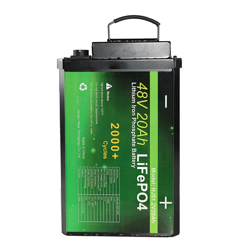 LiFePO4 Rechargeable Electric Vehicle Lithium Iron Phosphate Battery 48V