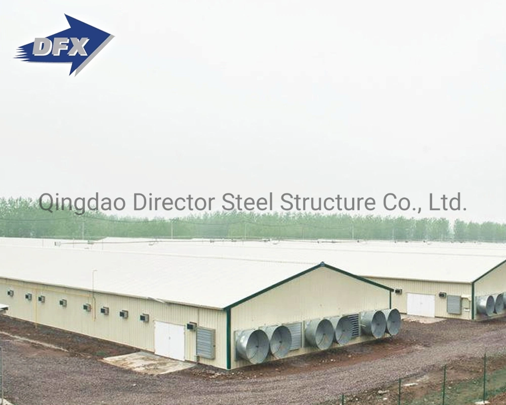 High quality/High cost performance  H-Type Galvanized Steel Frame Chicken House Poultry Farm Shed