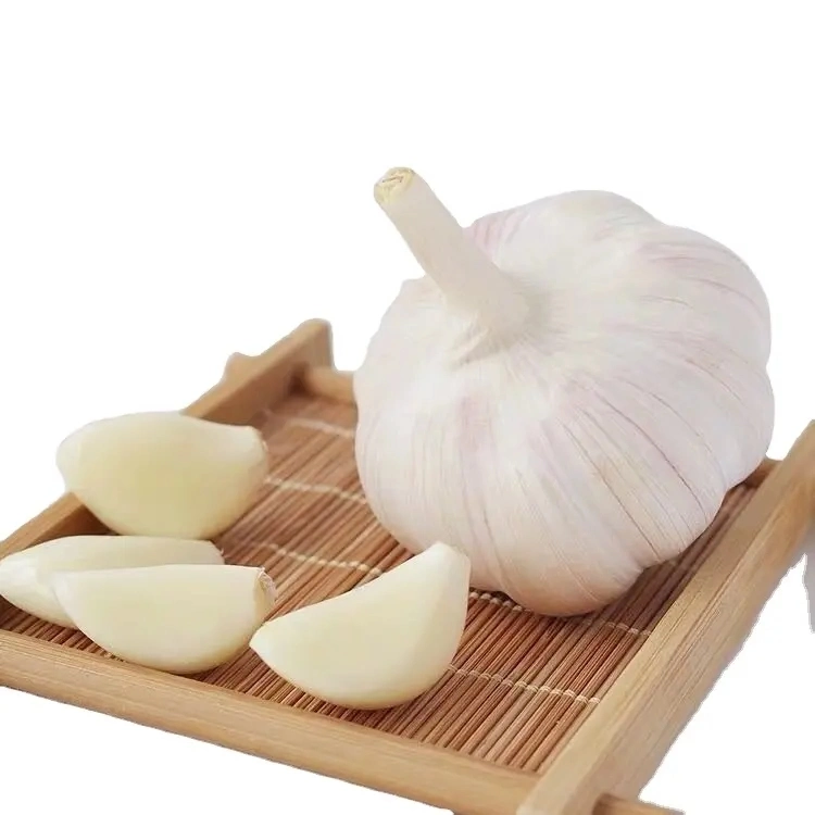 Farm Garlic: Red and White Varieties - Freshness and Quality You Can Trust