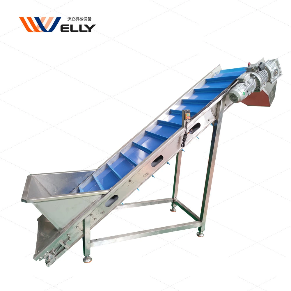 Popular Mesh Belt Elevator for Processing French Fries Production Line