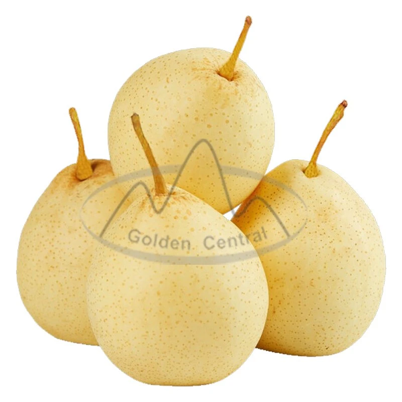 Factory Wholesale/Supplier Sweet Juicy Fresh Yellow Ya Pears Gold Pears