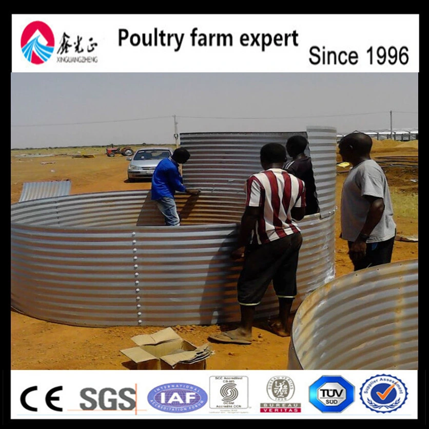 Poultry Feed Growing Broiler Chicks Rate (2018 Best Selling, Discount And Big Sale)