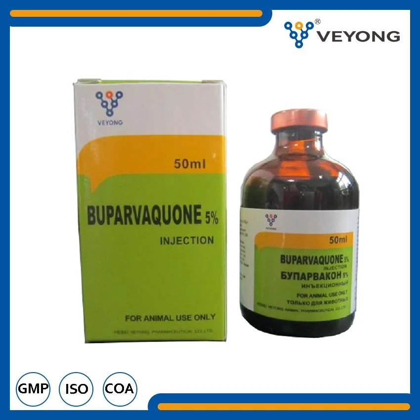 High Efficiency Buparvaquone Injection 5% Sheep Medicine for Cattle From Pharmaceutical Manufacturer