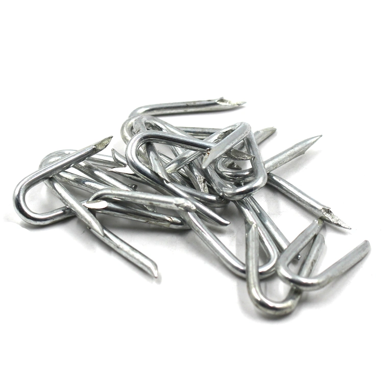 Galvanized U Fencing Staples with Single Double Barbed Shank