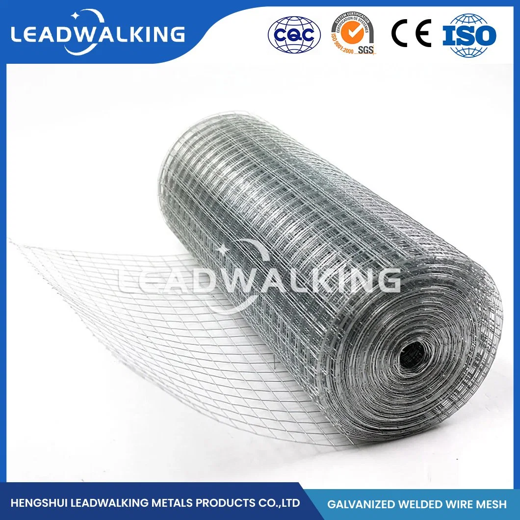 Leadwalking Welded Iron Wire Mesh Suppliers OEM Customized 48 Inch Welded Wire Fence China 1/2"X1/2" Inch Zinc Coated Galvanized Welded Wire Mesh