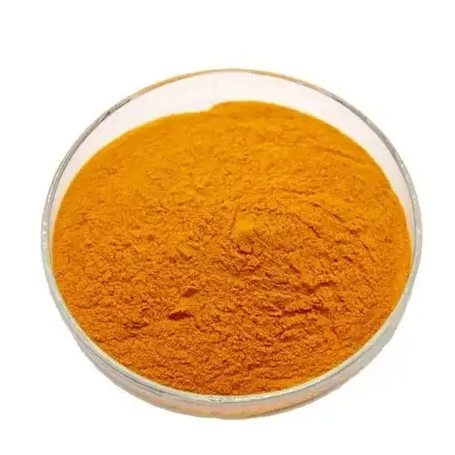 Piensos Curcumin 5% en polvo de cúrcuma en polvo orgánico Extracto de raíz