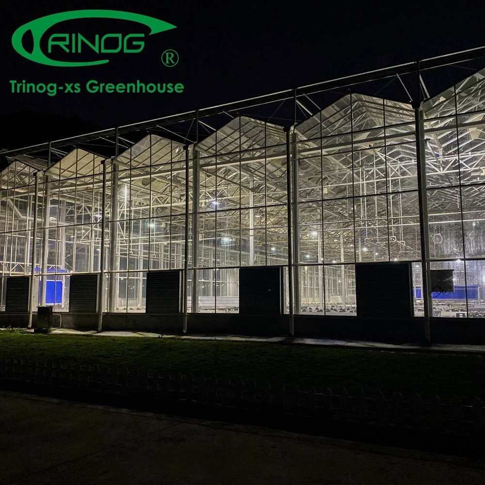 Inner Shading System Cooling Galvanized Steel Pipe Structure Glass Greenhouse for Vegetables