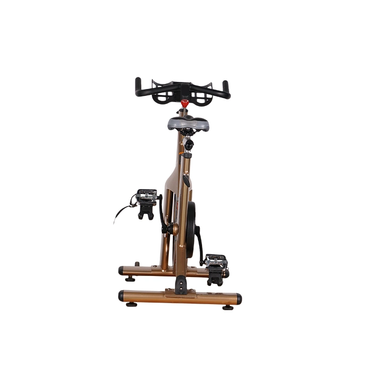 Leekon Custom Indoor Slimming Spin Bike Weight Loss Gym Fitness Commercial Workout Equipment