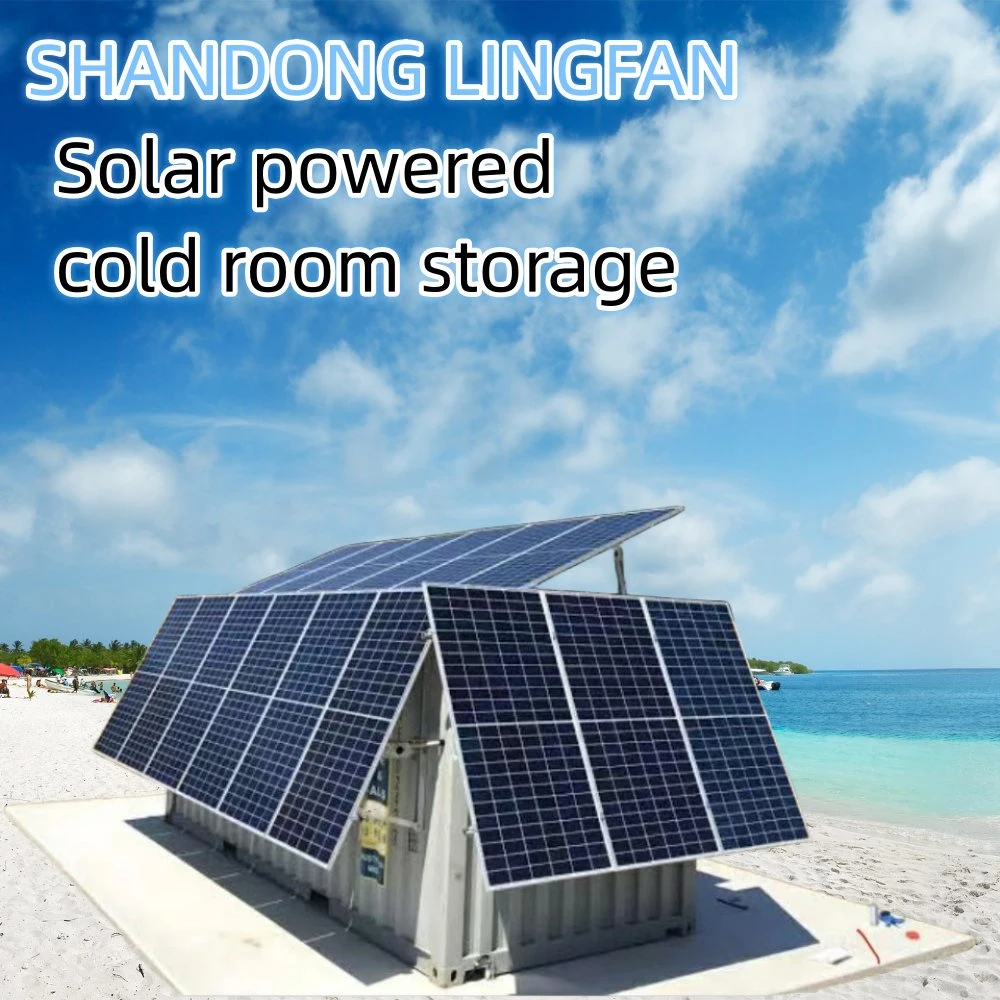 20 FT Solar Powered Container Cold Room Storage for Meat Freezer