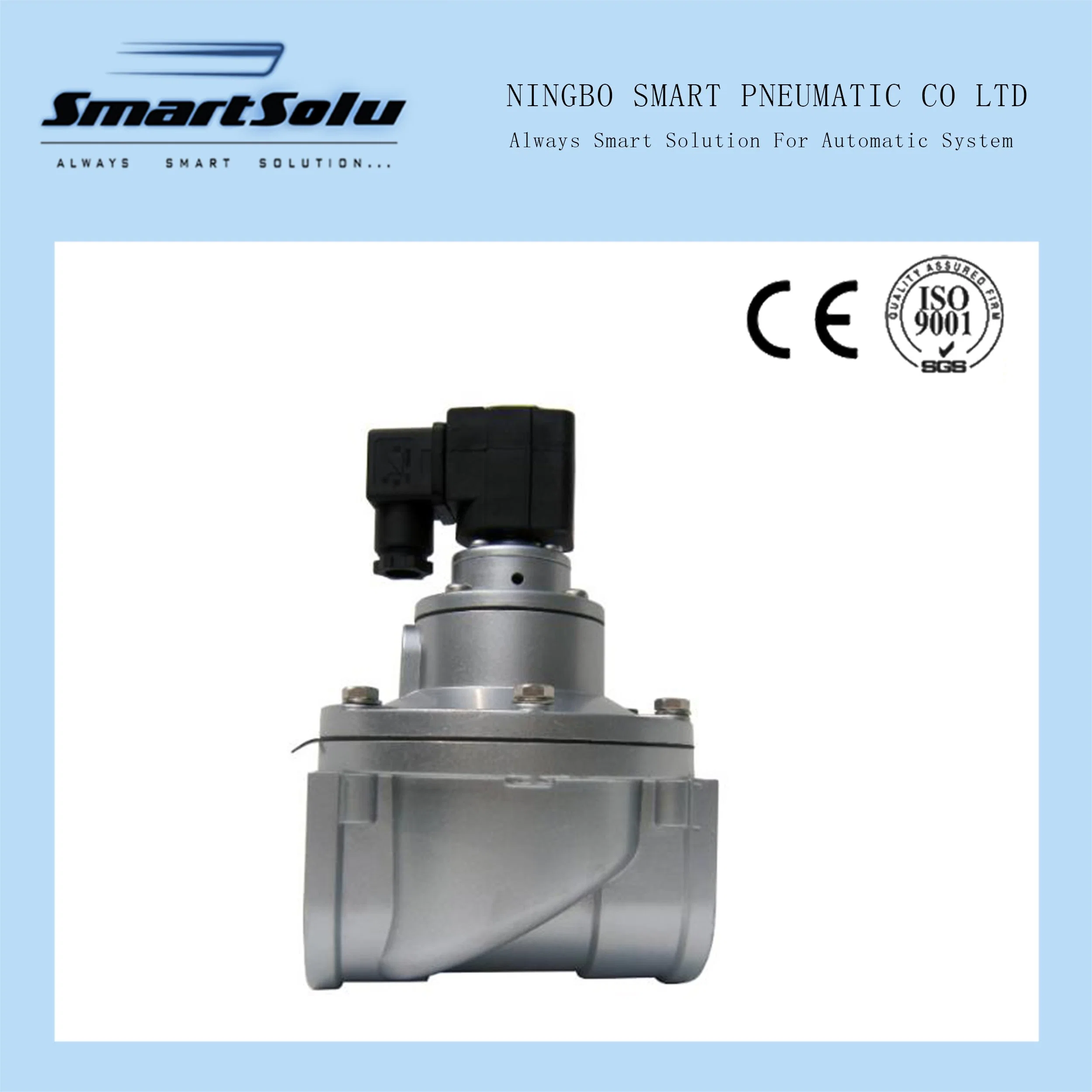 Senior Professional Spare Part Kit for Nice Replacement for Straight-Through Pulse Valve