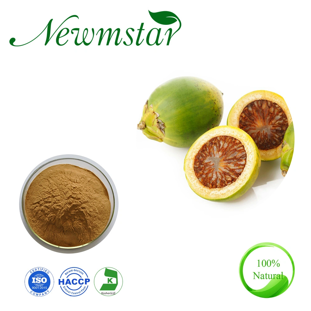 Factory Wholesale Areca Nut Extract Semen Arecae Areca Catechu L. @ Betel Nut Extract