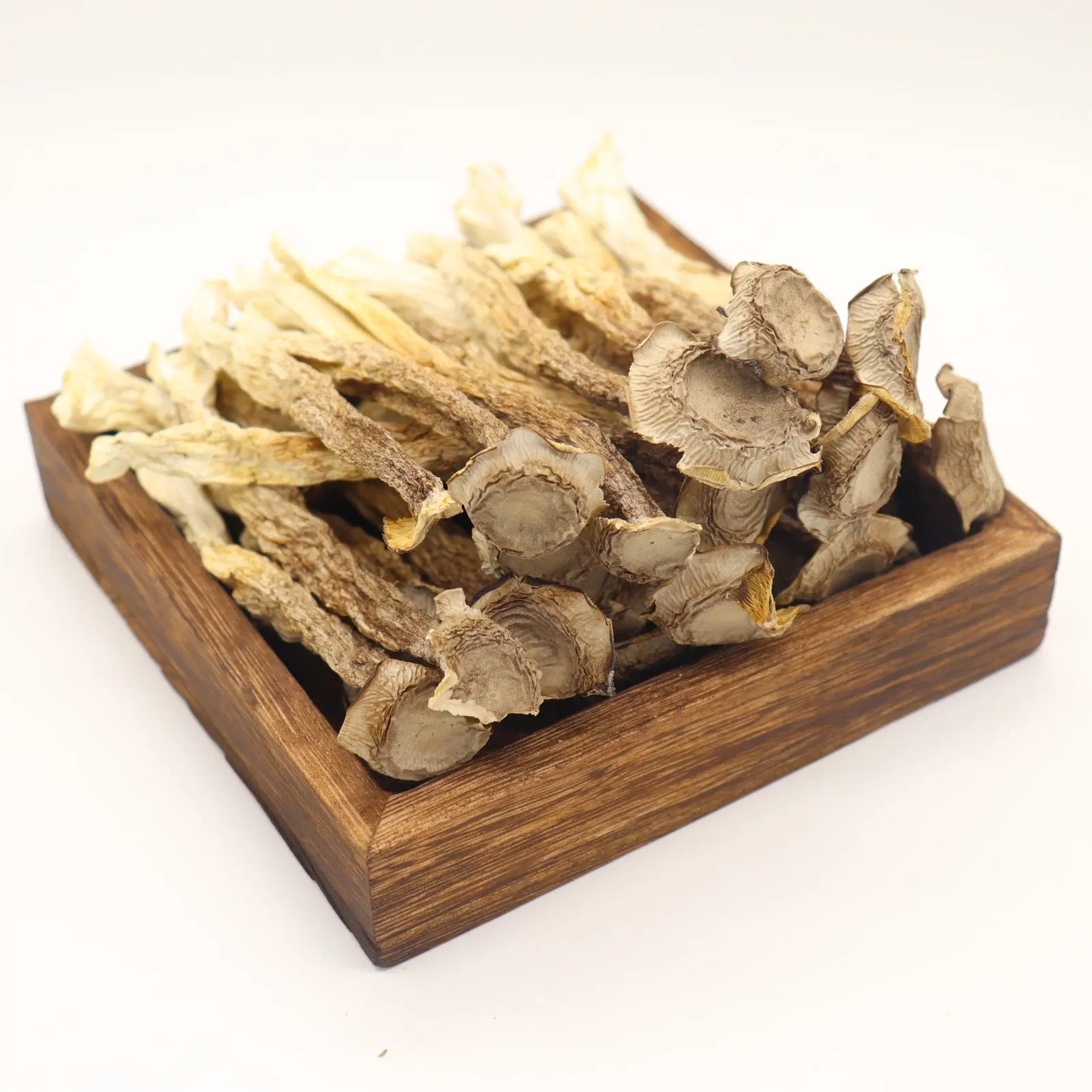 Chinese Hearbal Medicine Deer Antler Mushroom Good for Health Organic Tea
