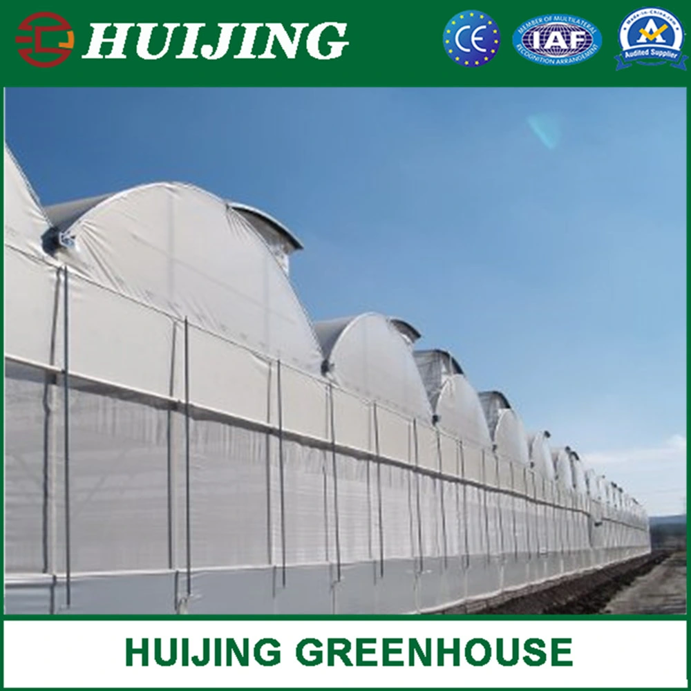 UV Protection Plastic Film Tunnel Poly Greenhouse for Agricultural