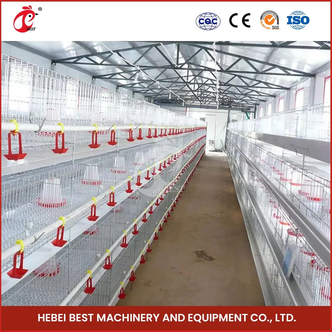 Bestchickencage China Large Mobile Chicken Coop Manufacturing H Frame Automatic Boriler Cages ODM Custom Waterproof Feature Movable Chicken Coops