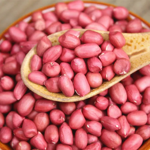 Jumbo Peanuts Groundnuts Raw Peanut Kernel