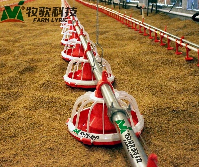 Orange PP Material Chicken Feeder for Poultry Farms