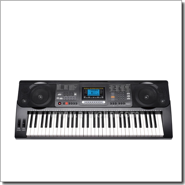 61 Keys Electric Keyboard/Music Keyboard Instrument (EK61223)