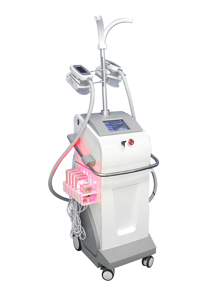 Fat Freezing Laser Lipolaser RF Body Shaping Cryolipolysis Cryotherapy Beauty Machine