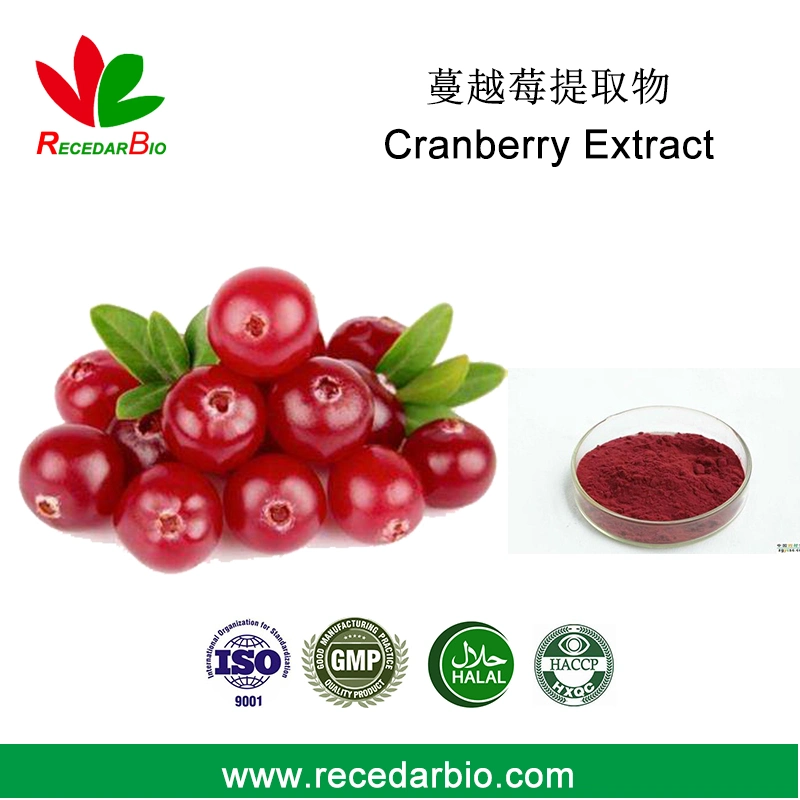 1% to 25% Anthocyandins Cranberry Extract Cranberry Fruit Powder