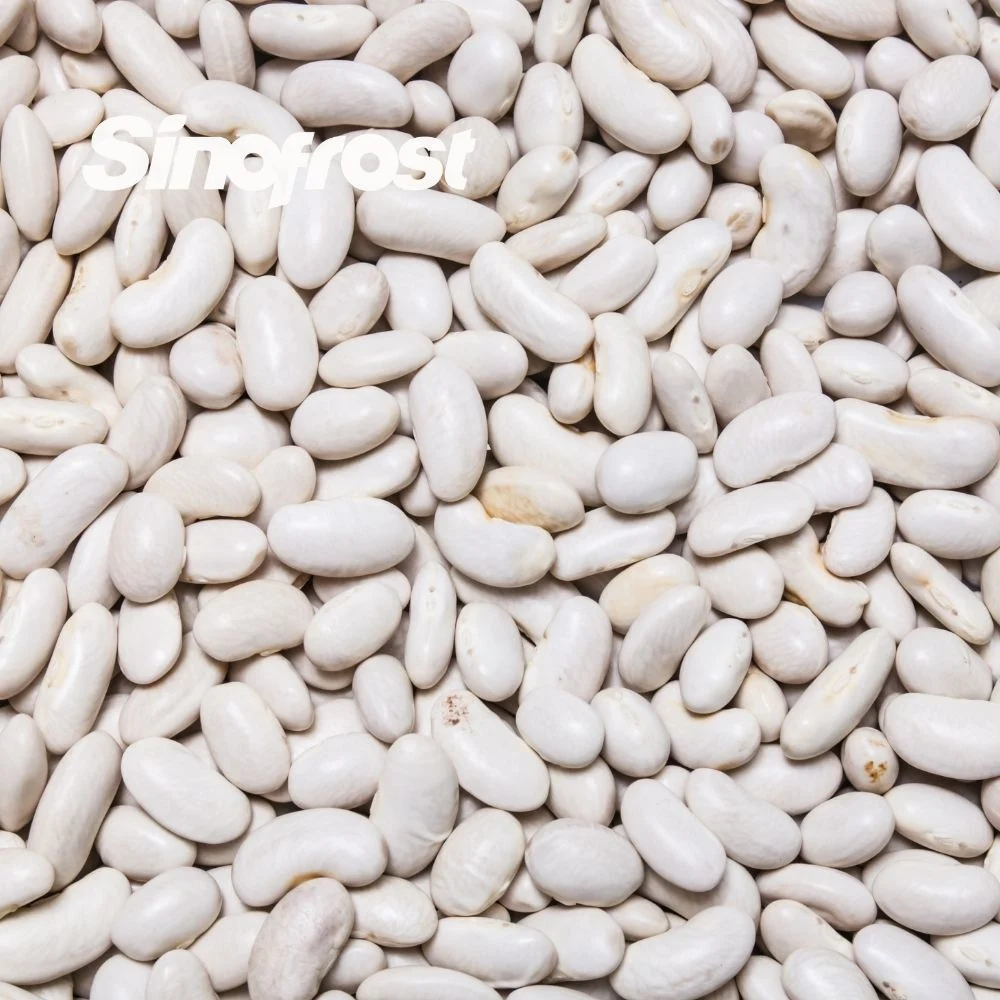 Sinofrost: Reliable IQF Frozen White Kidney Beans Bulk Supplier & Wholesale/Supplier Distributor